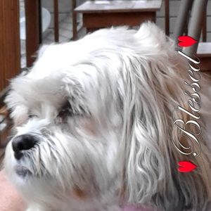 Meet your Posher, Judy